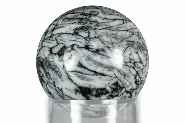 Polished Pinolite Sphere - Austria #343937